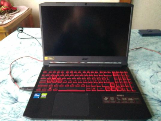 Acer Nitro 5 Windows 10