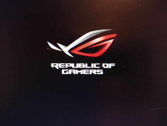 Republic of gamers